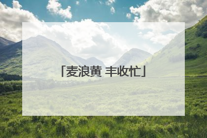 麦浪黄 丰收忙