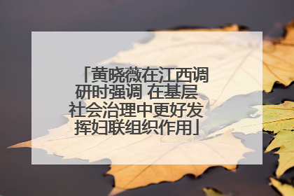 黄晓薇在江西调研时强调 在基层社会治理中更好发挥妇联组织作用