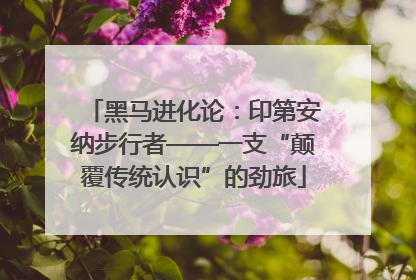 黑马进化论：印第安纳步行者——一支“颠覆传统认识”的劲旅