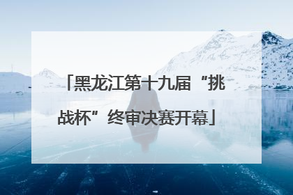 黑龙江第十九届“挑战杯”终审决赛开幕