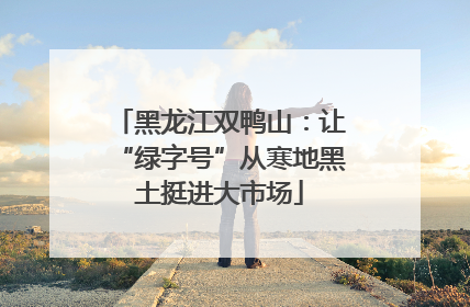 黑龙江双鸭山：让“绿字号”从寒地黑土挺进大市场