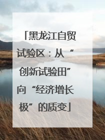 黑龙江自贸试验区：从“创新试验田”向“经济增长极”的质变