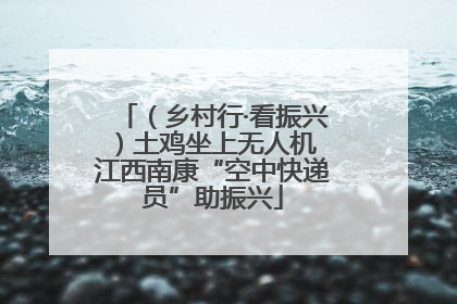 （乡村行·看振兴）土鸡坐上无人机 江西南康“空中快递员”助振兴