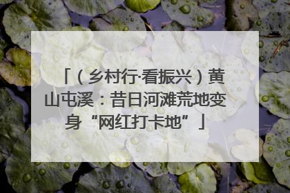 （乡村行·看振兴）黄山屯溪：昔日河滩荒地变身“网红打卡地”