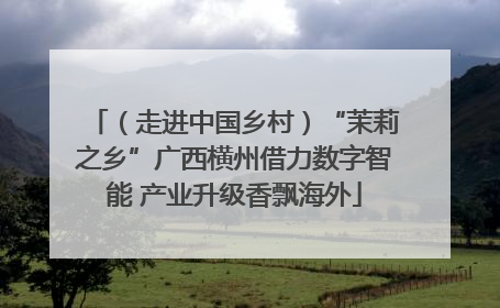 （走进中国乡村）“茉莉之乡”广西横州借力数字智能 产业升级香飘海外