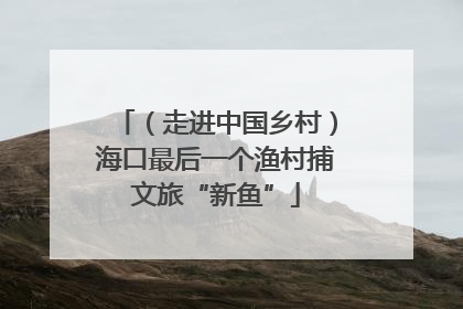 （走进中国乡村）海口最后一个渔村捕文旅“新鱼”