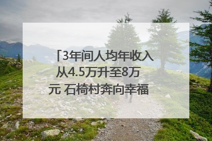 3年间人均年收入从4.5万升至8万元 石椅村奔向幸福好样子｜牵挂的村