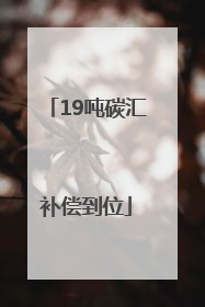 19吨碳汇补偿到位