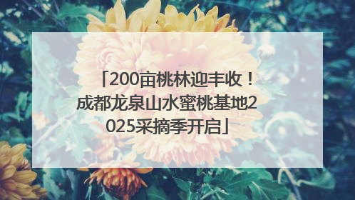 200亩桃林迎丰收！成都龙泉山水蜜桃基地2025采摘季开启