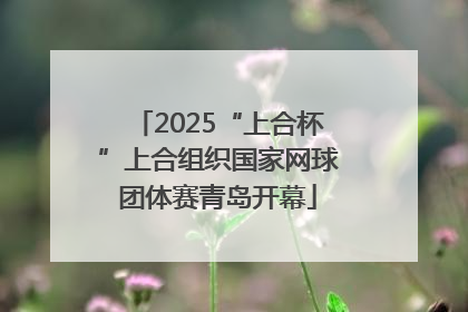 2025“上合杯”上合组织国家网球团体赛青岛开幕