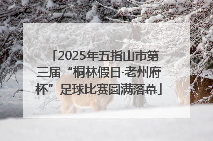 2025年五指山市第三届“桐林假日·老州府杯”足球比赛圆满落幕