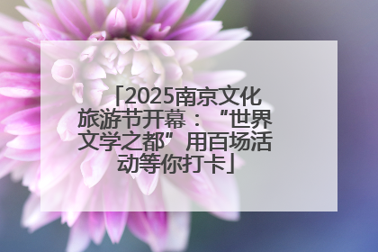 2025南京文化旅游节开幕：“世界文学之都”用百场活动等你打卡