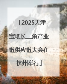 2025天津宝坻长三角产业链供应链大会在杭州举行