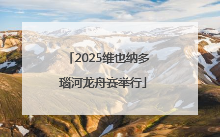 2025维也纳多瑙河龙舟赛举行