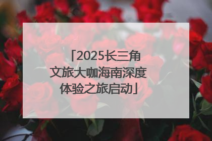 2025长三角文旅大咖海南深度体验之旅启动