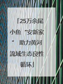 25万余尾小鱼“安新家” 助力黄河流域生态良性循环