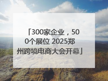300家企业，500个展位 2025郑州跨境电商大会开幕