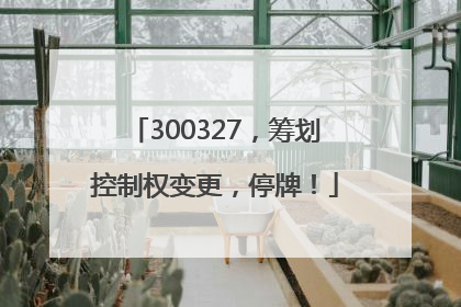 300327，筹划控制权变更，停牌！