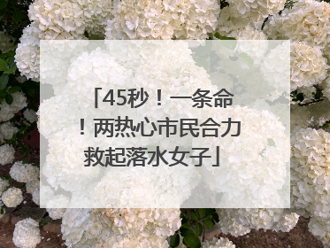 45秒！一条命！两热心市民合力救起落水女子