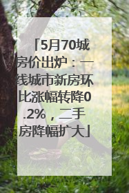 5月70城房价出炉：一线城市新房环比涨幅转降0.2%，二手房降幅扩大