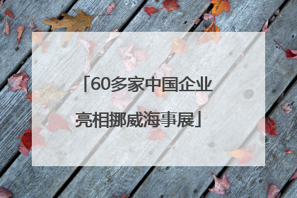 60多家中国企业亮相挪威海事展