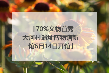 70%文物首秀 大河村遗址博物馆新馆6月14日开馆