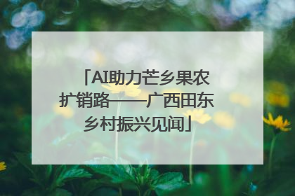 AI助力芒乡果农扩销路——广西田东乡村振兴见闻
