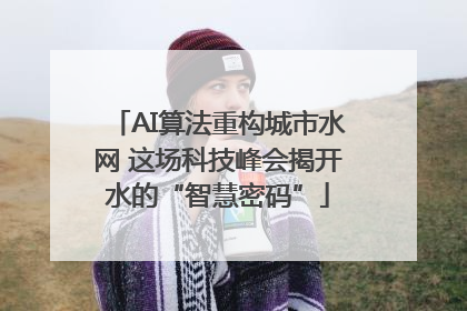 AI算法重构城市水网 这场科技峰会揭开水的“智慧密码”