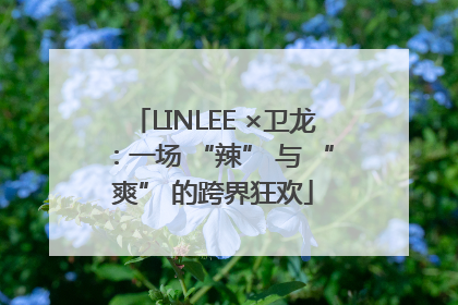 LINLEE ×卫龙：一场 “辣” 与 “爽” 的跨界狂欢