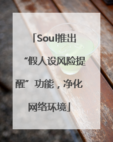 Soul推出“假人设风险提醒”功能，净化网络环境